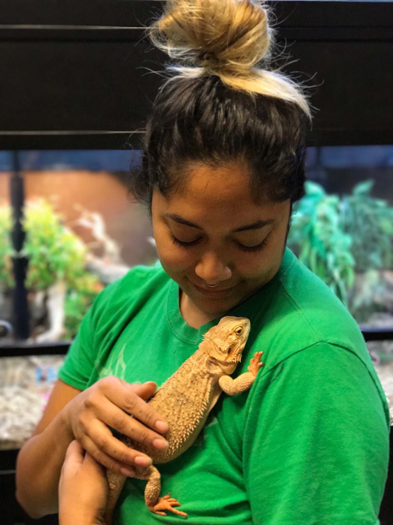After theft caught on camera, lizard returned to Lawrence pet store in